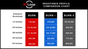 Nt Loop Chart Final